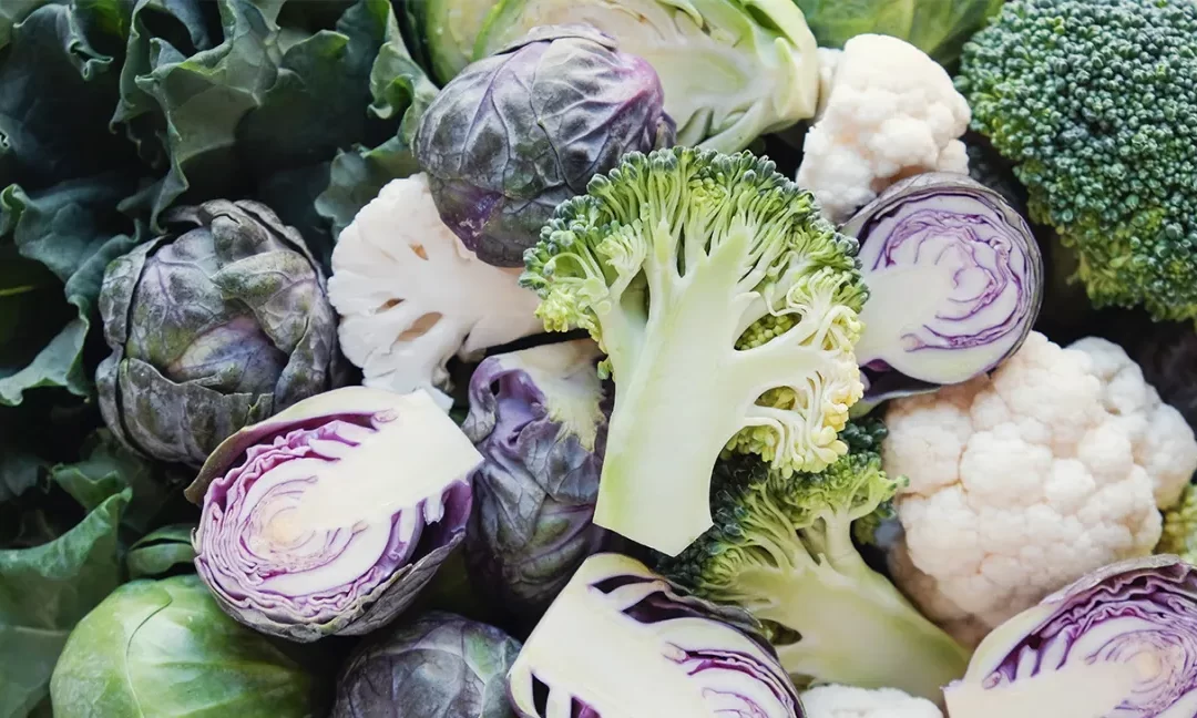 broccoli cabbage